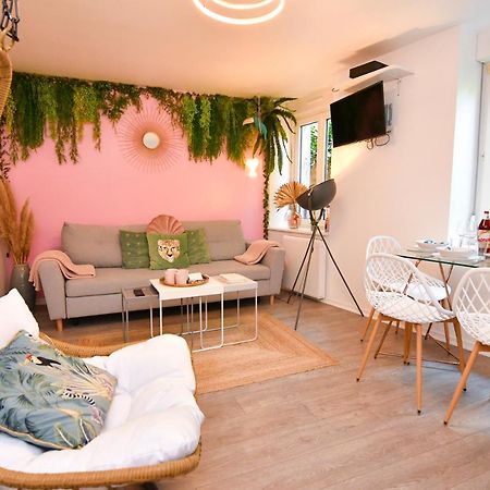 Apartamento Le Nid Cosy - En plein coeur de Sélestat Exterior foto