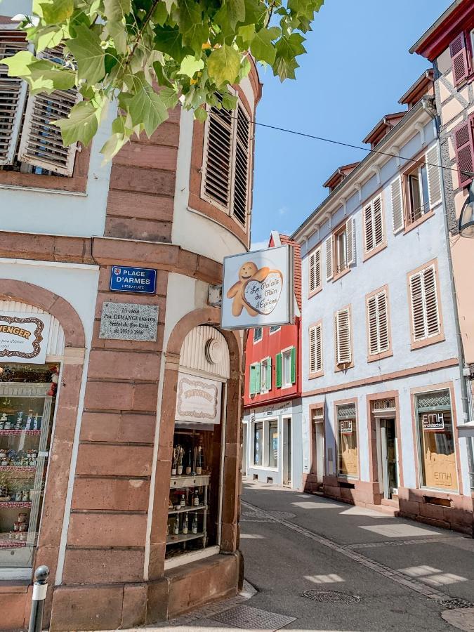 Apartamento Le Nid Cosy - En plein coeur de Sélestat Exterior foto